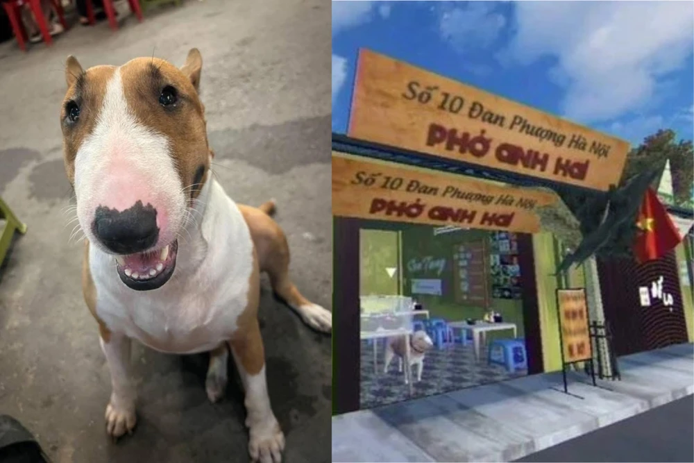 Chú chó ngoài đời thật có gương mặt giống Cậu Vàng trong game bất ngờ nổi tiếng trên mạng xã hội.