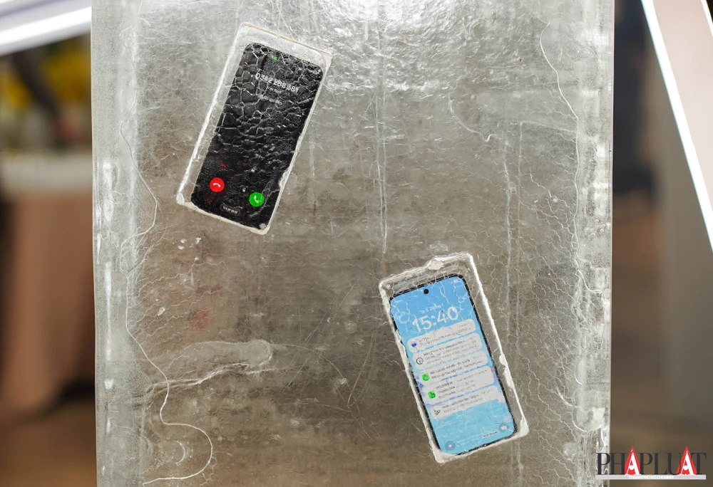 Cả hai mẫu máy đều đạt độ bền cao. Ảnh: TIỂU MINH