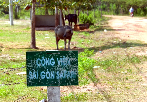 Xây nghỉ dưỡng trong siêu công viên Safari ảnh 1