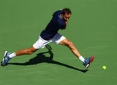 Medvedev nỗ lực đòi ngôi từ Djokovic