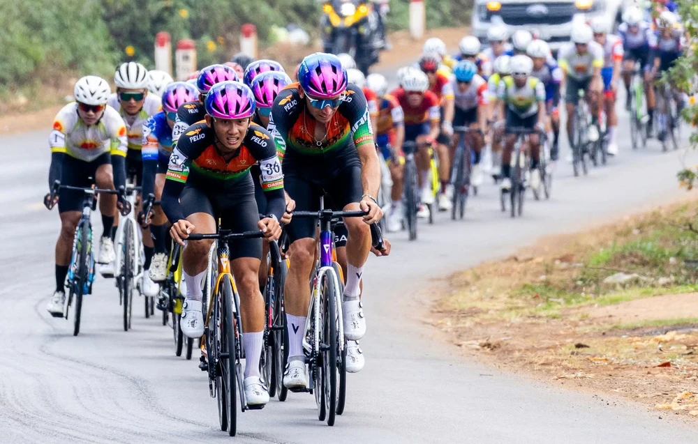 rượt đuổi bão táp