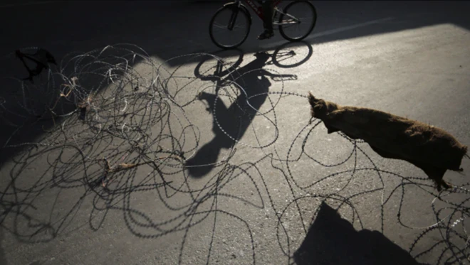 Đạp xe 1.000 km vẫn không cưới được vợ vì COVID-19 ảnh 1