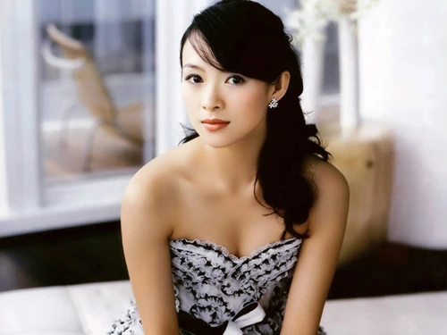 Chương Tử Di thắng kiện vụ bị tố làm gái bao cho Bạc Hy Lai ảnh 1