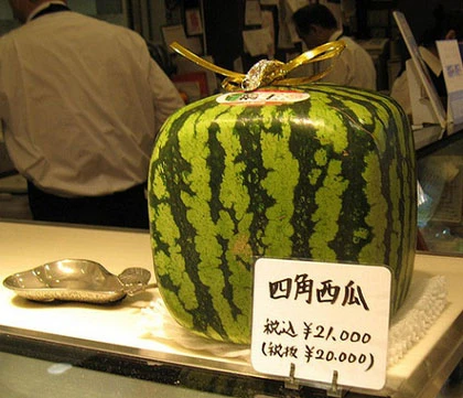 Quả dưa có giá bằng... xe hơi và chuyện ẩm thực ở Nhật ảnh 4