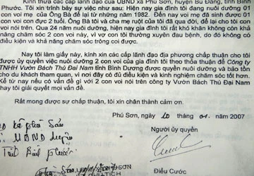 Bất thường về lý lịch con voi quật chết người ảnh 1