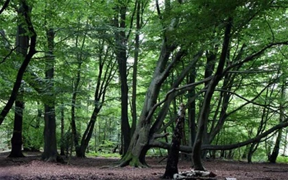 12 nỗi sợ hãi khác thường của con người ảnh 5 12 nỗi sợ hãi khác thường của con người ảnh 5