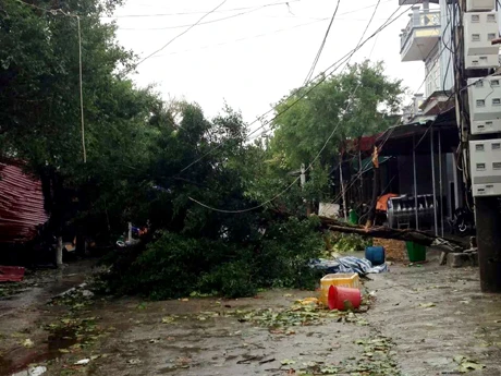 Bão Hải Yến quét qua Quảng Ninh: Gần 500 nhà bị tốc mái và sập ảnh 3