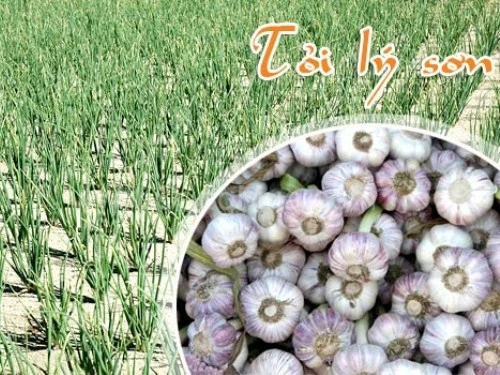 8 đặc sản quà tặng Việt Nam đạt chuẩn châu Á ảnh 2