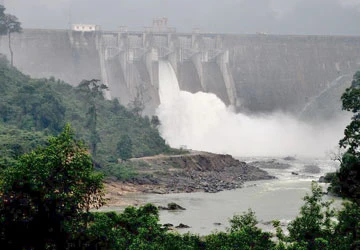 Loại bỏ thủy điện chiếm nhiều rừng ảnh 1