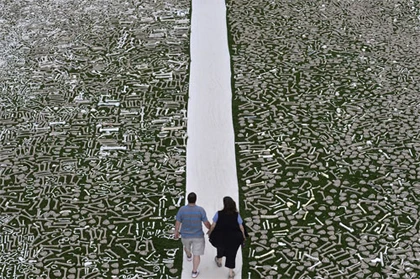 Những bức ảnh giàu cảm xúc năm 2013 ảnh 7