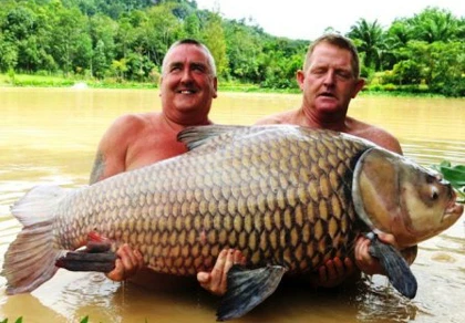 Câu được cá chép khủng nặng 60 kg ảnh 1