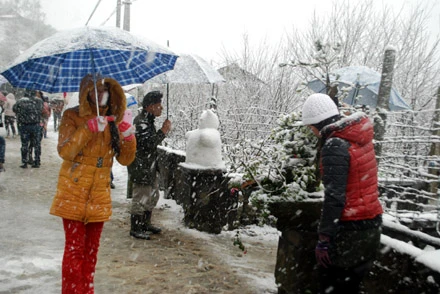 Hình ảnh tuyết rơi đẹp như tranh vẽ ở Sa Pa ảnh 2