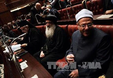 Ai Cập bắt đầu bỏ phiếu về dự thảo hiến pháp mới ảnh 1