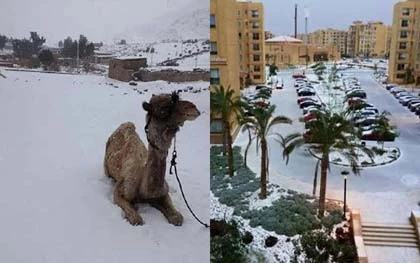Tuyết rơi ở Ai Cập lần đầu tiên trong 100 năm ảnh 2