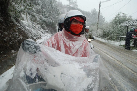 Hình ảnh tuyết rơi đẹp như tranh vẽ ở Sa Pa ảnh 7