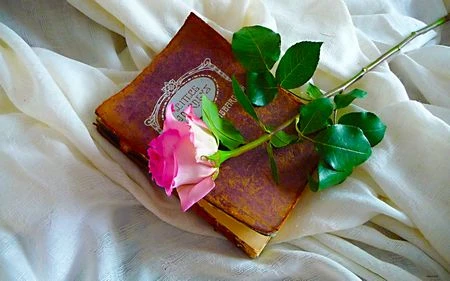 Bộ hình nền đẹp mắt mừng ngày Nhà giáo Việt Nam 20/11 ảnh 22