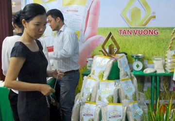 Ngành lúa gạo “lờ đờ” vì điều hành bất cập ảnh 1