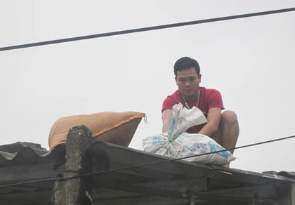 Hai người thiệt mạng khi phòng chống bão ảnh 1