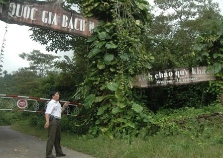 Dị nhân 'nói' được tiếng 200 loài chim ảnh 2