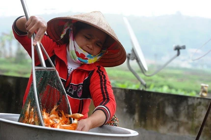 Cá chép đỏ trước giờ tiễn Táo quân ảnh 10