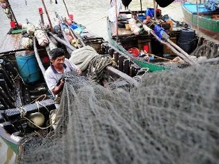 Đông Á chuẩn bị đón siêu bão Usagi ảnh 1