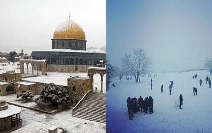 Tuyết rơi ở Ai Cập lần đầu tiên trong 100 năm ảnh 5