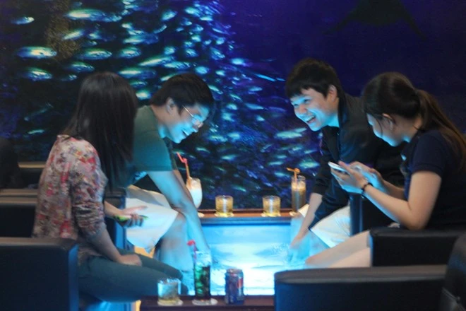 Vừa uống cà phê, vừa bị cá cắn ở Sài Gòn ảnh 10