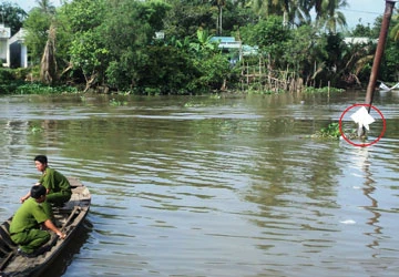 Khởi tố giám đốc Công ty 586 - Chi nhánh Cần Thơ ảnh 1