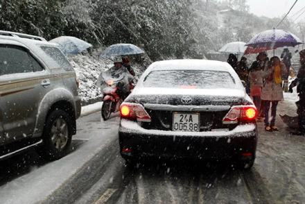 Hình ảnh tuyết rơi đẹp như tranh vẽ ở Sa Pa ảnh 6