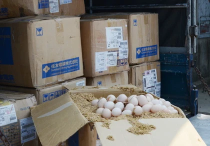 Tạm giữ hơn 10.000 quả trứng gà không kiểm dịch ảnh 1
