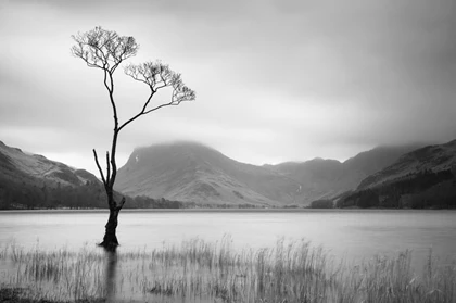 Cân nhắc gì khi chụp ảnh phong cảnh ảnh 1