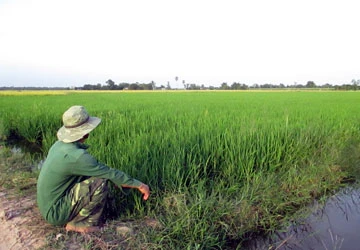 Khóc ròng vì mua đất đấu giá ảnh 1