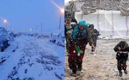 Tuyết rơi ở Ai Cập lần đầu tiên trong 100 năm ảnh 4