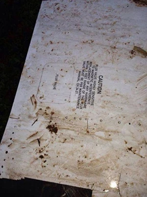 Vụ máy bay rơi ở Lào: Một cảnh tượng kinh hoàng ảnh 3