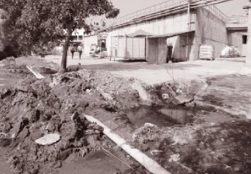 Hào Dương xin được hoạt động trở lại ảnh 1