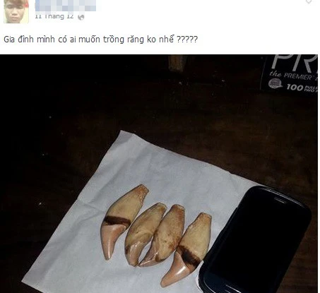 Nam thanh niên khoe ảnh giết gấu lên mạng ảnh 2