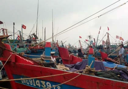 Gió giật cấp 10 tại huyện đảo Lý Sơn ảnh 1