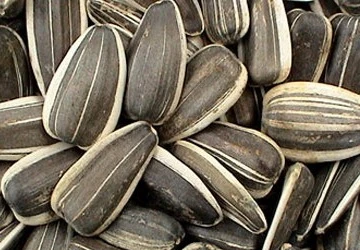 Công dụng của các loại hạt, quả ngày Tết ảnh 1