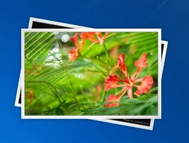 Phần mềm dự báo thời tiết với hiệu ứng động đẹp mắt cho Windows ảnh 7