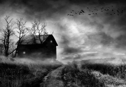 Nấm mồ bí mật trong ngôi nhà ma ảnh 1