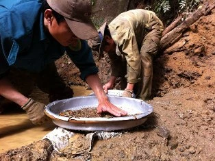 Giấc mộng ruby ảnh 1