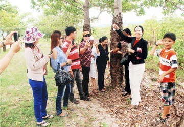 Xúc tiến việc xây dựng nhà máy đạt chuẩn GMP ảnh 2