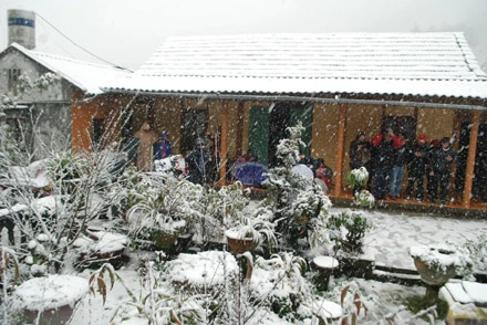 Hình ảnh tuyết rơi đẹp như tranh vẽ ở Sa Pa ảnh 4