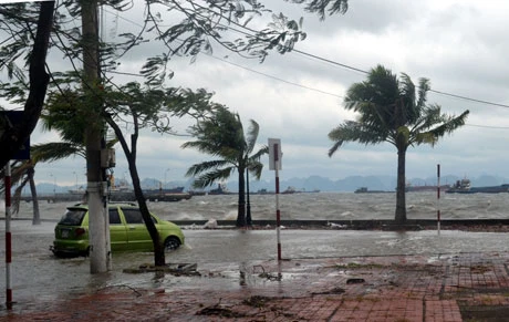 Bão Hải Yến quét qua Quảng Ninh: Gần 500 nhà bị tốc mái và sập ảnh 1