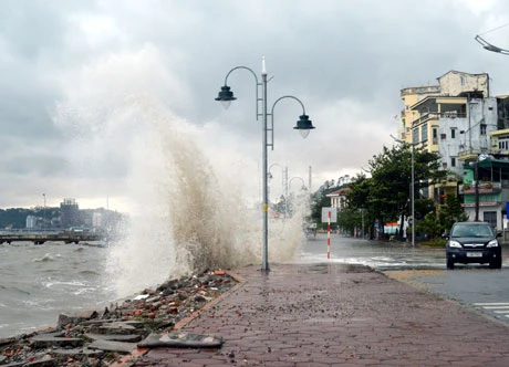 Bão Hải Yến quét qua Quảng Ninh: Gần 500 nhà bị tốc mái và sập ảnh 2