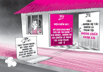 Chiếm lại nhà đã bị cưỡng chế, xử sao? ảnh 1