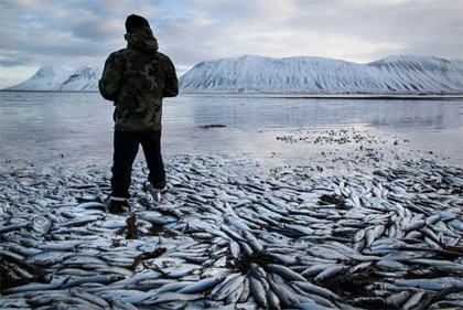 Những bức ảnh giàu cảm xúc năm 2013 ảnh 11