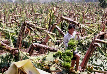 Lũ nhấn chìm miền Trung ảnh 3
