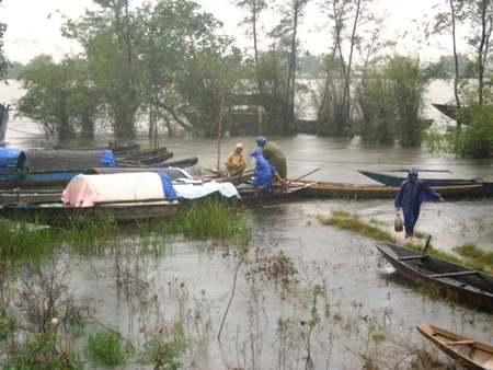 Những hình ảnh đầu tiên của cơn bão số 10 ảnh 12