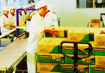 Bán vốn Nhà nước để tăng ngân sách ảnh 1